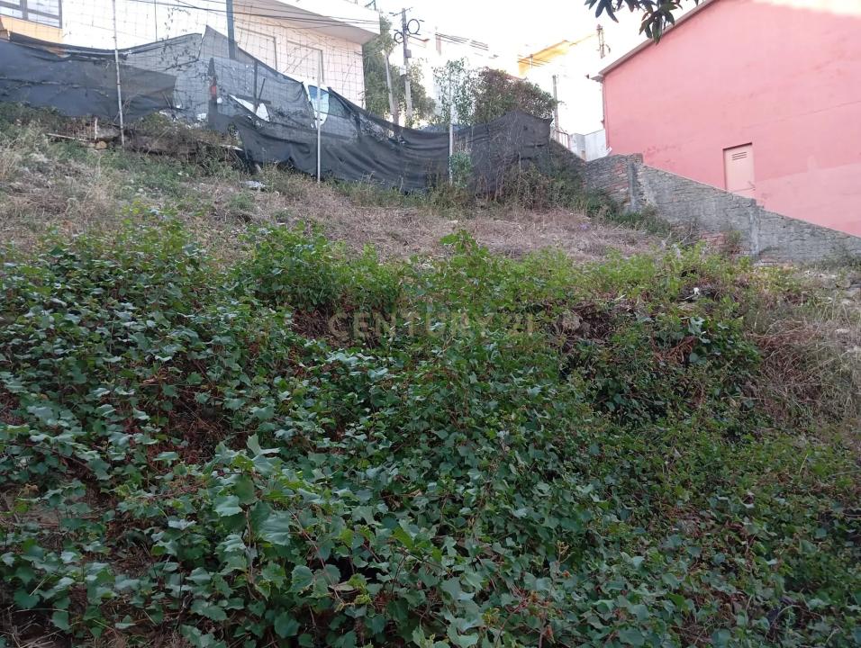 Sintra, 리스보아 2605-098, 포르투갈