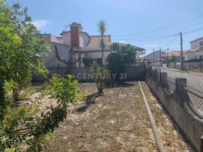 Benavente, Santarem 2135-030, Portugal