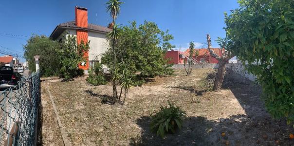 Benavente, Santarem 2135-030, Portugal