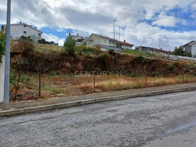 Mirandela, Braganza 5370-553, Portugal