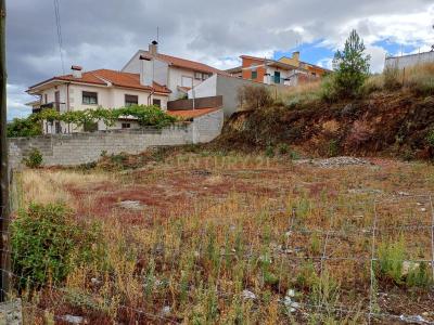 Mirandela, Braganza 5370-553, Portugal