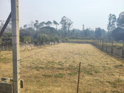 Barcelos, Braga 4570-247, Portugal