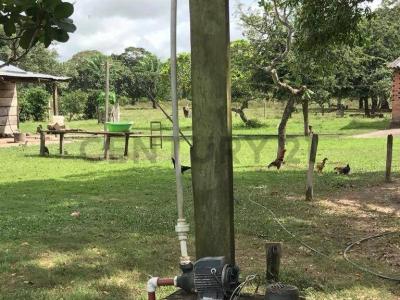 Moxos, Beni 00001, Bolívia