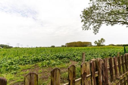 Stuurstraat 49, Beveren, 9120, 比利時