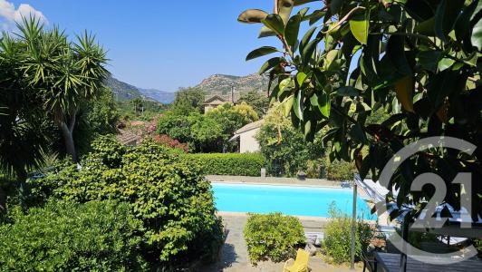 Patrimonio, Corse 20253, Frankreich