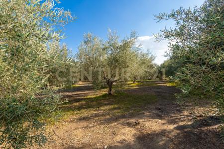 Via Ficarelli, Misterbianco, Sicilia 95045, Italia