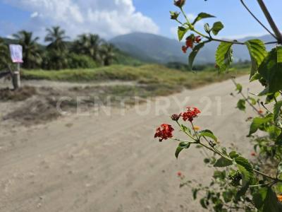 Lote 2, Manzana 2, Zona 1 2,, Aquila, Michoacán 60870, México