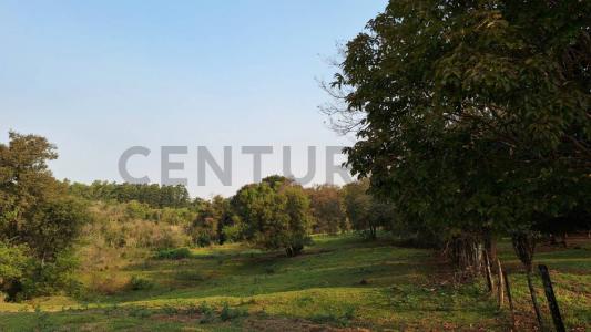 Carmen Del Paraná, Itapúa 00001, Paraguay