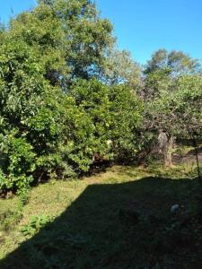 Carmen Del Paraná, Itapúa 00001, Paraguay