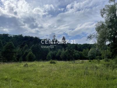 Bled, Bled, Gorenjska 4274, Slovenia