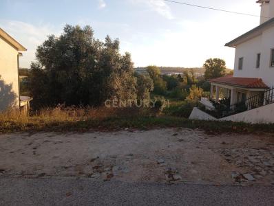 Soure, 코임브라 3130-255, 포르투갈