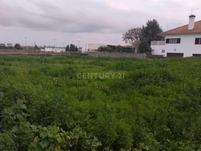 Golegã, Santarém 2150-003, Portugal
