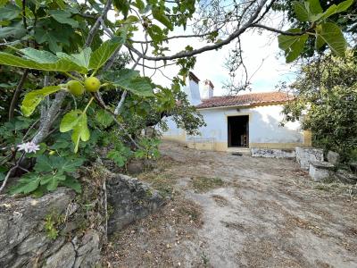 Portalegre, Portalegre 7300-166, Portugal