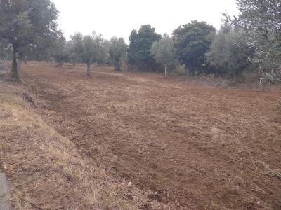 Sardoal, 산타렘 2230-180, 포르투갈