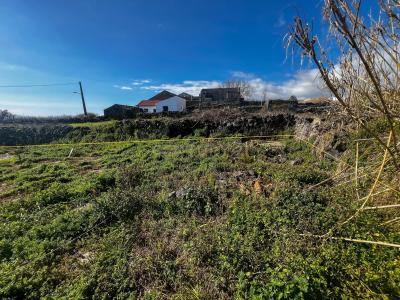 Ponta Delgada, São Miguel Island 9500-657, Portugal