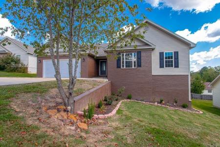 2002 Reagan Cove, Alexander, Arkansas 72002, Stati Uniti