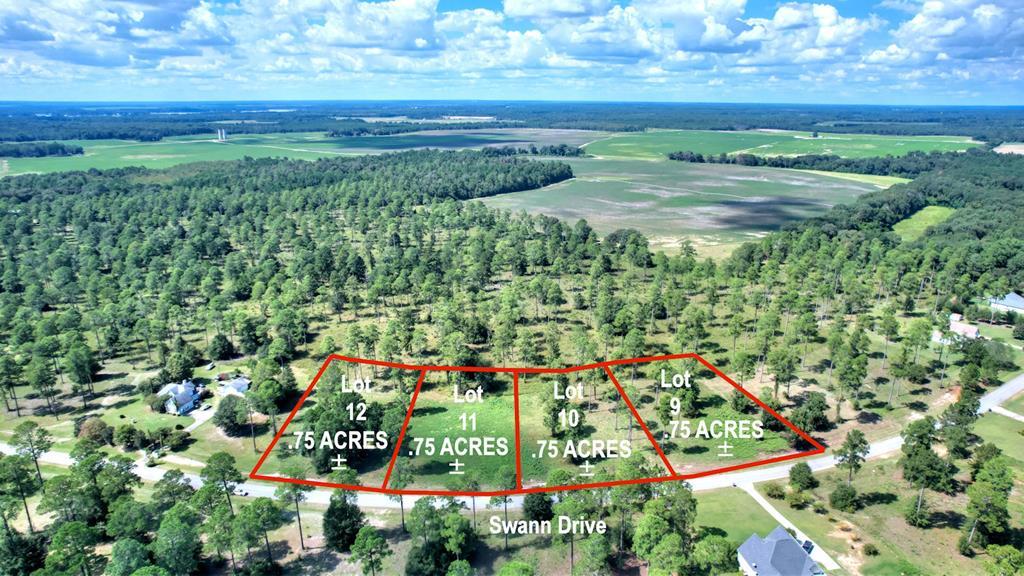 lot 10 Blk B - Swann Dr, Cordele, جورجيا 31015, الولايات المتحدة