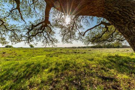 LOT 168 Other , 168, Kerrville, Texas 78028, USA