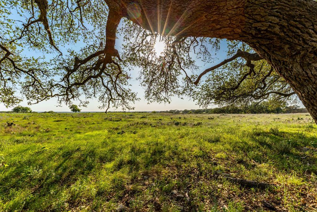 LOT 168 Other, Kerrville, Texas 78028, Stati Uniti