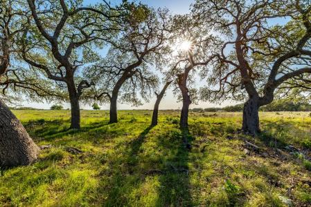 LOT 168 Other, Kerrville, Texas 78028, Stati Uniti