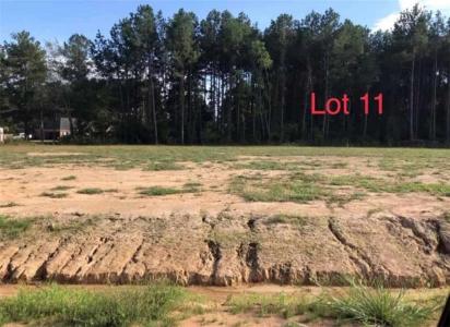 LOT 11 Theo Drive, Deville, Louisiana 71328, HOA KỲ