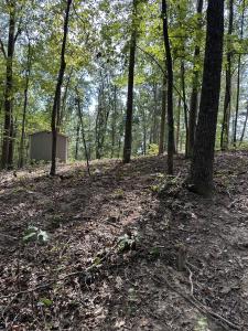 0 News Circle, Buchanan, Tennessee 38222, USA