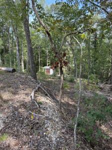 0 News Circle, Buchanan, Tennessee 38222, Estados Unidos