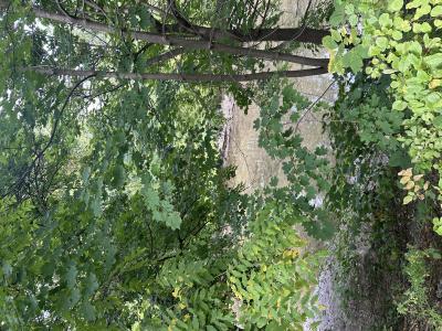2 Bushnell, Catskill, New York 12414
