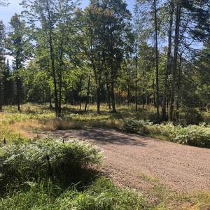Mercer Lake Circle South Lot 2, Mercer, Wisconsin 54547