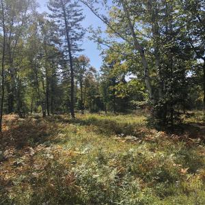 Mercer Lake Circle South Lot 2, Mercer, Wisconsin 54547