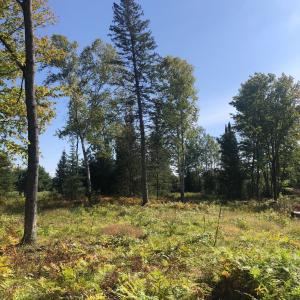 Mercer Lake Circle South Lot 2, Mercer, Wisconsin 54547