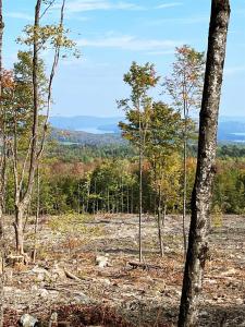 842 Gibbs Road, Newport Town, Vermont 05857, États-Unis