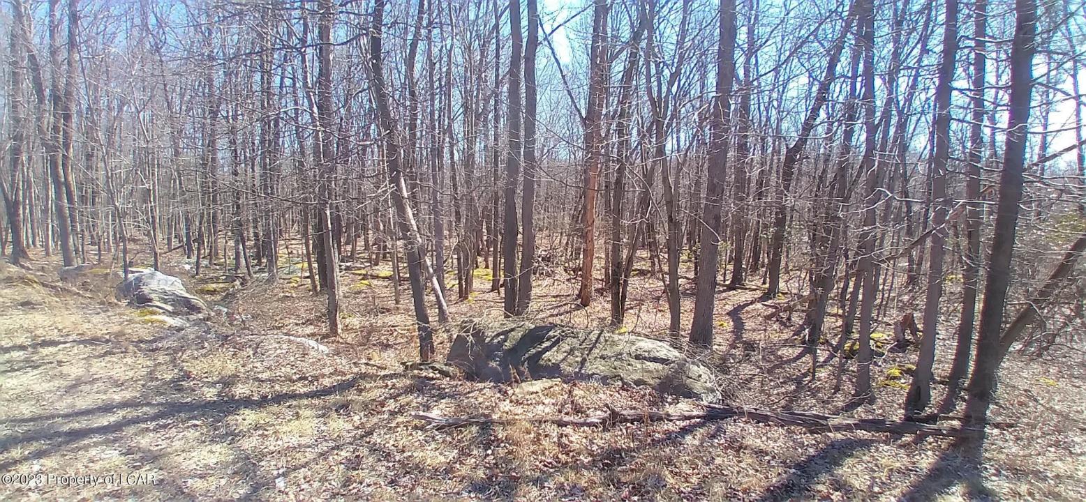 SH Lot 006 Southern Hills Court, Hazle Twp, 宾夕法尼亚州 18202, 美国