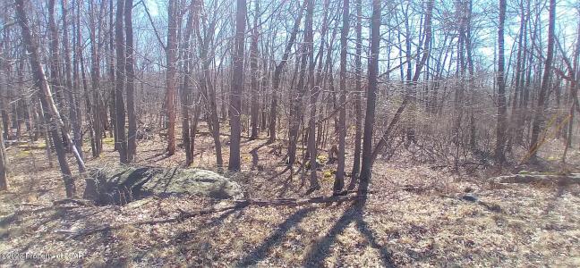 SH Lot 006 Southern Hills Court, Hazle Twp, 宾夕法尼亚州 18202, 美国