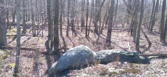 SH Lot 006 Southern Hills Court, Hazle Twp, 宾夕法尼亚州 18202, 美国