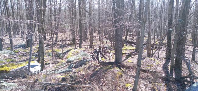 SH Lot 006 Southern Hills Court, Hazle Twp, 宾夕法尼亚州 18202, 美国