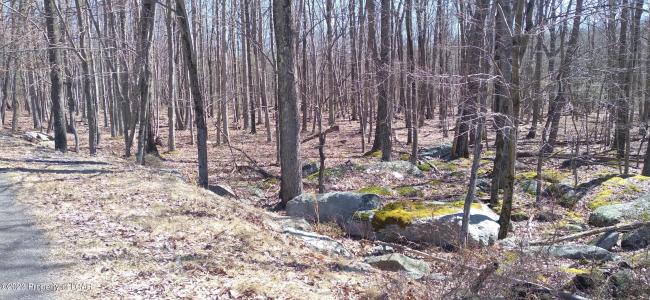 SH Lot 006 Southern Hills Court, Hazle Twp, 宾夕法尼亚州 18202, 美国