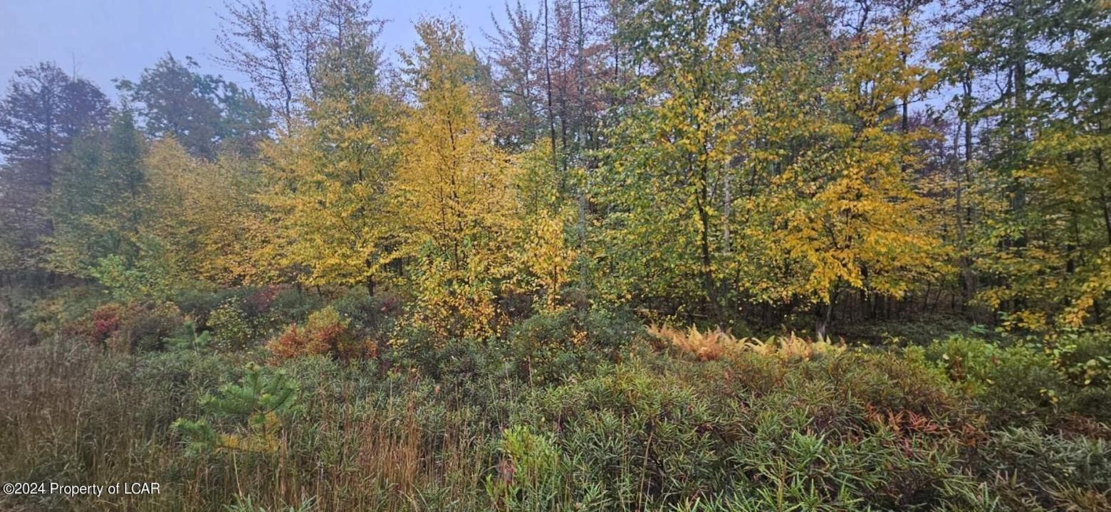 MVII 286 Stoney Mountain Drive, Hazle Twp, Pennsylvania 18202, Stati Uniti