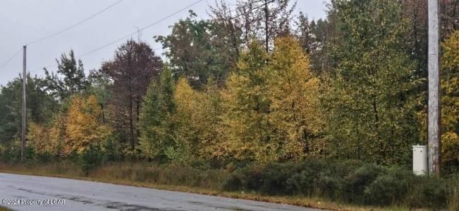 MVII 286 Stoney Mountain Drive, Hazle Twp, Pennsylvania 18202, Stati Uniti