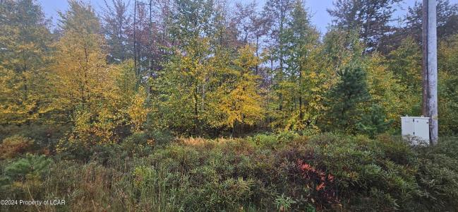 MVII 286 Stoney Mountain Drive, Hazle Twp, Pennsylvania 18202, Stati Uniti