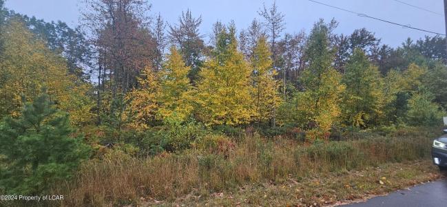 MVII 286 Stoney Mountain Drive, Hazle Twp, Pennsylvania 18202, Stati Uniti