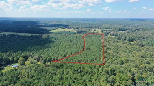000N County Road 1926, Linden, Texas 75563