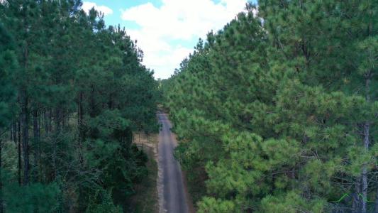 000N County Road 1926, Linden, Texas 75563, États-Unis