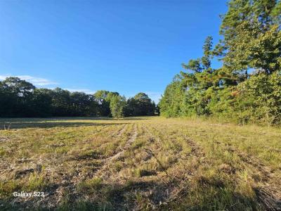 15830 Shady Creek Road, Tyler, Texas 75705, États-Unis