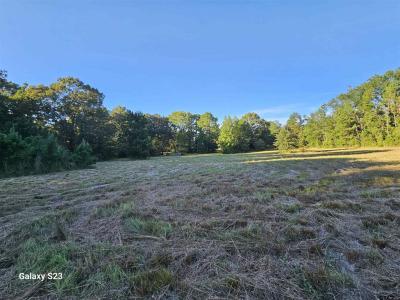 15830 Shady Creek Road, Tyler, Texas 75705, États-Unis