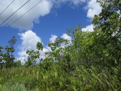 Lot 146, Puulena St, Pahoa, Hawaii 96778, États-Unis