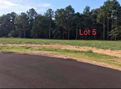 LOT 5 Theo Drive, Deville, Louisiana 71328, HOA KỲ