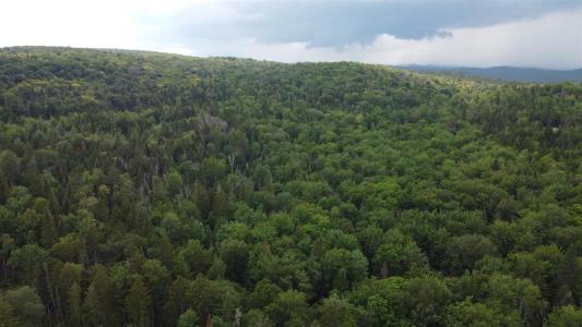 Ch. Masson, Sainte-Marguerite-du-Lac-Masson, Quebec J0T 1L0, Canada