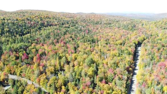 Ch. Masson, Sainte-Marguerite-du-Lac-Masson, Quebec J0T 1L0, Canada