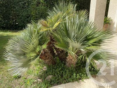 Pezenas, Languedoc-Roussillon 34120, Франция
